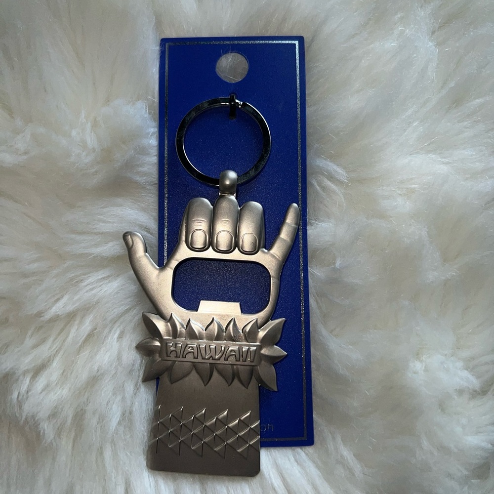 Hawaii key chain